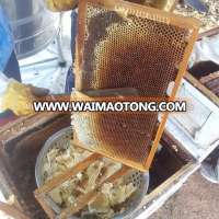 Longan Pollen Honey Bee Natural Pure Premium Thailand Manuka Wholesale Bulk Supplies